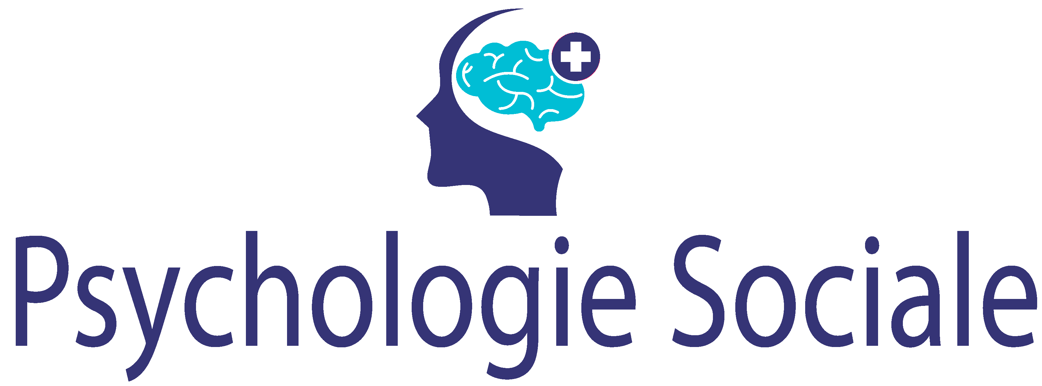 Logo psychologie-sociale.com